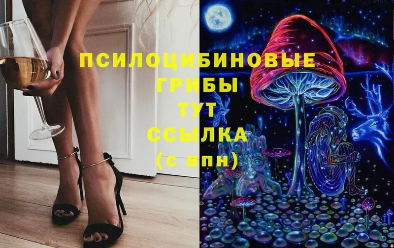 Галлюциногенные грибы MAGIC MUSHROOMS Нарьян-Мар